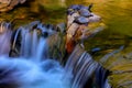 Serene stream waterfall in a tropical garden with asian terrapins Royalty Free Stock Photo