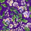 Beautiful snail vine twigs with bright flowers on purple background. Seamless floral pattern. Watercolor painting. Hand painted