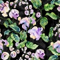 Beautiful snail vine twigs with purple flowers on black background. Seamless floral pattern. Watercolor painting. Hand painted
