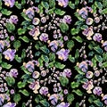 Beautiful snail vine twigs with purple flowers on black background. Seamless floral pattern. Watercolor painting. Hand painted Royalty Free Stock Photo