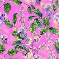 Beautiful snail vine twigs with purple flowers on bright pink background. Seamless floral pattern. Watercolor painting. Royalty Free Stock Photo