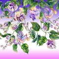 Beautiful snail vine twigs with purple flowers on gradient background. Seamless floral pattern, border. Watercolor painting.