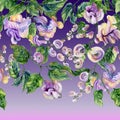 Beautiful snail vine twigs with purple flowers on gradient background. Seamless floral pattern, border. Watercolor painting.