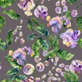 Beautiful snail vine twigs with purple flowers on gray background. Seamless floral pattern. Watercolor painting. Royalty Free Stock Photo