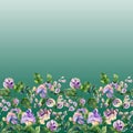 Beautiful snail vine twigs with purple flowers on green background. Seamless floral pattern, border. Watercolor painting. Royalty Free Stock Photo