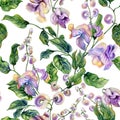 Beautiful snail vine twigs with purple flowers on white background. Seamless floral pattern. Watercolor painting. Hand painted