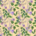 Beautiful snail vine twigs with purple flowers on yellow background. Seamless floral pattern. Watercolor painting. Hand painted