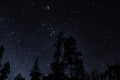 A beautiful snap of night sky from base camp of kedarkantha mountain trek December2018