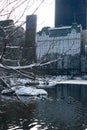 Snow Covered Branches of a Tree over the Pond at Central Park in New York City during the Winter with a Midtown Manhattan Skyline Royalty Free Stock Photo