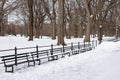 Beautiful Snow Covered Long Row of Benches at Central Park in New York City during the Winter Royalty Free Stock Photo