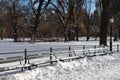 Beautiful Snow Covered Row of Benches at Central Park in New York City during the Winter Royalty Free Stock Photo