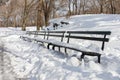 Beautiful Snow Covered Row of Benches at Central Park in New York City during the Winter Royalty Free Stock Photo