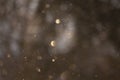 Beautiful snow in detail. Winter background. Snowflake texture