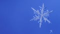 Beautiful snow flake on a light blue background close up Royalty Free Stock Photo