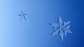 Beautiful snow flake on a light blue background close up Royalty Free Stock Photo