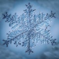 Beautiful snow flake on a light blue background close up Royalty Free Stock Photo