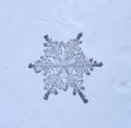 Beautiful snow flake on a light blue background close up Royalty Free Stock Photo