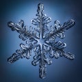 Beautiful snow flake on a light blue background close up Royalty Free Stock Photo