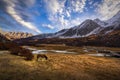 Beautiful snow mountain with blue sky and a horse on a pasture at the morning, Horse grazing in meadow with snow capped mountain Royalty Free Stock Photo