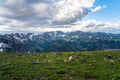 Beartooth Highway in Montana