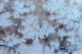 Beautiful snow patterns, water ornaments on transparent glass.Christmas snowflakes. Royalty Free Stock Photo