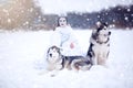 Beautiful snow queen with dogs Royalty Free Stock Photo