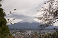 Beautiful snowcapped volcano Mt.Fuji against cherry blossom sakura blooming