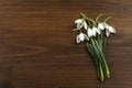Beautiful snowdrop flowers on wooden table, flat lay. with space for text. Symbol of first spring day Royalty Free Stock Photo