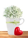 Beautiful snowdrops in cup and red heart on table isolated on white background Royalty Free Stock Photo