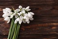 Beautiful snowdrops on wooden table, above view. Space for text