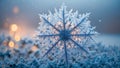 Beautiful snowflake detail design freeze morning winter season bokeh christmas weather frost cold