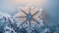 Beautiful snowflake macro photography detail light