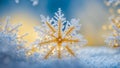 Beautiful snowflake morning detail design freeze winter season bokeh christmas weather frost cold