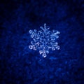 Beautiful snowflake photographed in macro