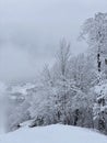 Beautiful snowing day at the Stowe Mountain Ski resort ski trails