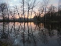 Beautiful snowless winter sunset and trees reflecting in the Vyskovice pond. Royalty Free Stock Photo