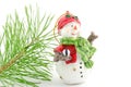 Beautiful snowman near the branch of christmas tree isolated