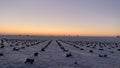 Beautiful snowy field after the passage of the storm Filomena, leaving a very beautiful winter landscape at dawn.
