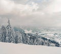 Beautiful snowy fir trees in frozen mountains landscape. Christmas background with tall spruce trees covered with snow in forest. Royalty Free Stock Photo