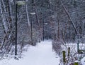 Beautiful snowy forest road with unlit lampposts, winter season in the woods, snow forest scenery Royalty Free Stock Photo