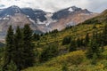 Beautiful snowy glacier with trees and mountains in Japser National Park, Alberta, Canada