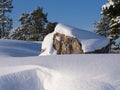 Beautiful snowy and tranquil winter scene with untouched snowbanks and pine trees. A closeup of a large block of granite