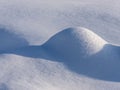 Beautiful snowy and tranquil winter scene with untouched snowbanks and pine trees