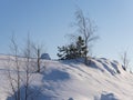 Beautiful snowy and tranquil winter scene with untouched snowbanks and pine trees