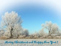 Beautiful snowy trees and words - Marry Christmas and Happy New Year