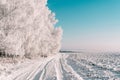 Beautiful snowy winter landscape with forest and road. wintry forest trees in snow. frosty clear sunny day with blue sky and sun