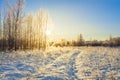 Snowy winter landscape with forest and sun Royalty Free Stock Photo