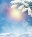 Beautiful snowy winter landscape with a snowy fir branch, snowflakes and blue sky. Winter christmas background.