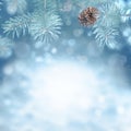 Beautiful snowy winter landscape with a snowy fir branch, snowflakes and cone. Winter background