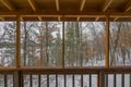 Beautiful snowy winter view of a Northwoods mixed forest deciduous and coniferous through a screened-in porch on a rustic cabin